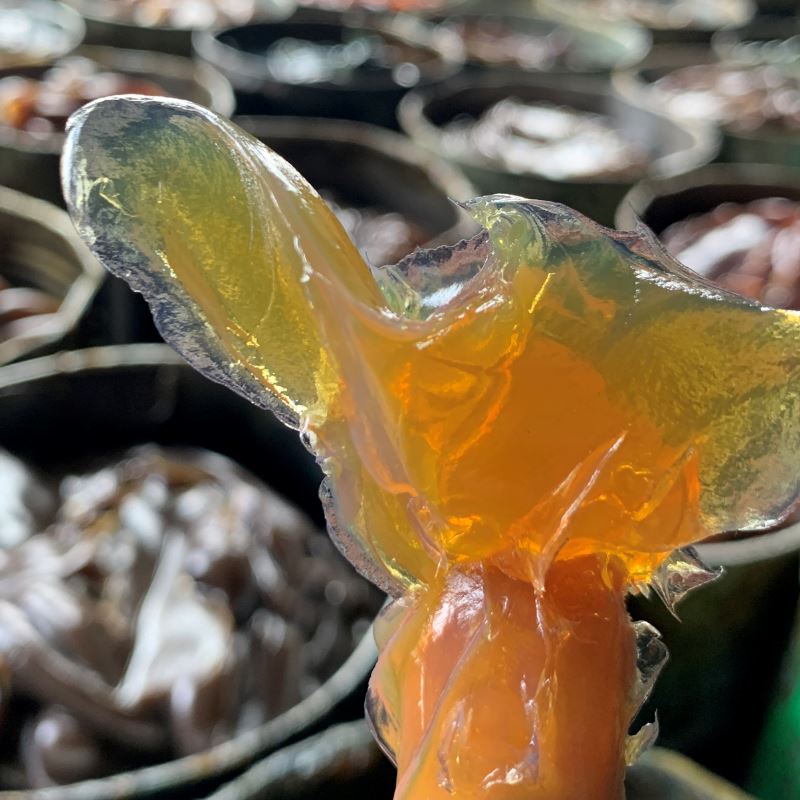 通用鋰基潤滑脂的優(yōu)點(diǎn)